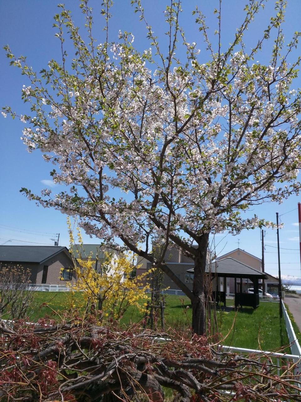 Dom (99 m²) w okolicy Higashikagura z 2 sypialniami i 1 łazienkami Asahikawa Zewnętrze zdjęcie